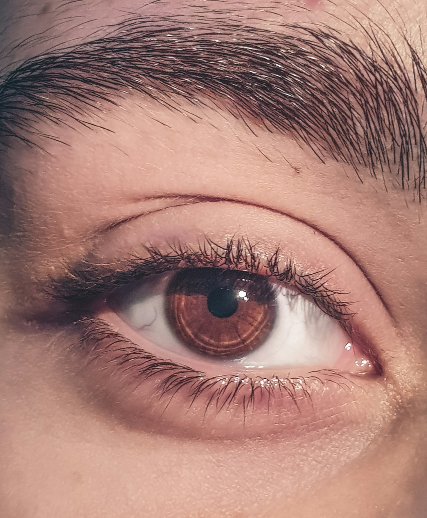 Mitos y verdades sobre el cuidado visual con lentes de contacto